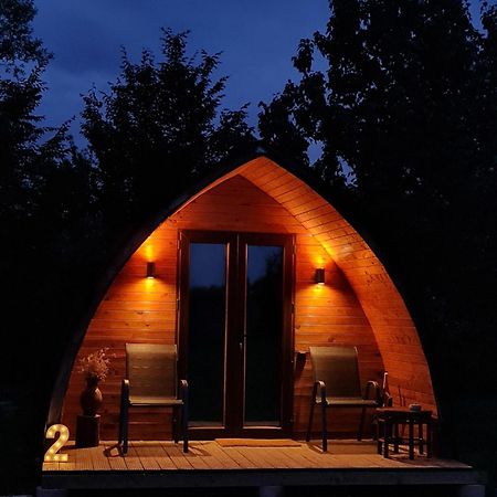 Casute In Mijlocul Naturii - Wild Camp Авриг Екстериор снимка