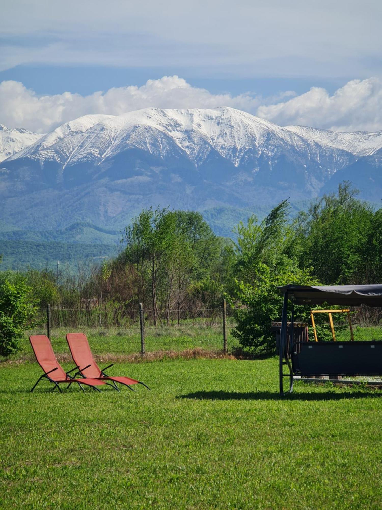 Casute In Mijlocul Naturii - Wild Camp Авриг Екстериор снимка