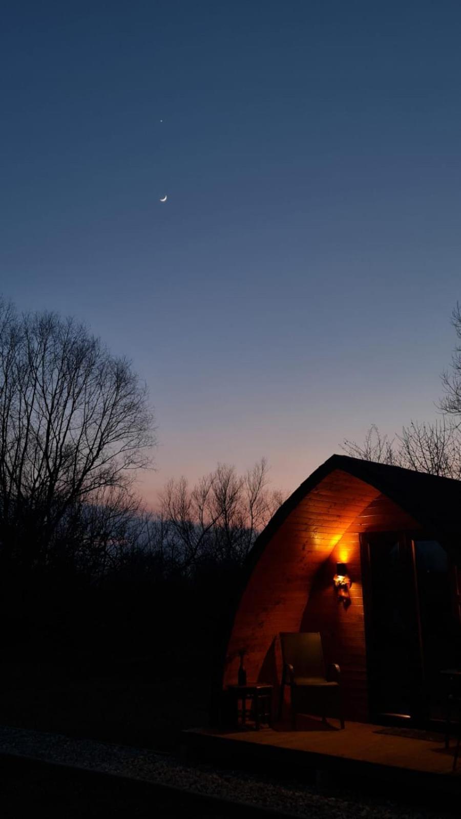 Casute In Mijlocul Naturii - Wild Camp Авриг Екстериор снимка